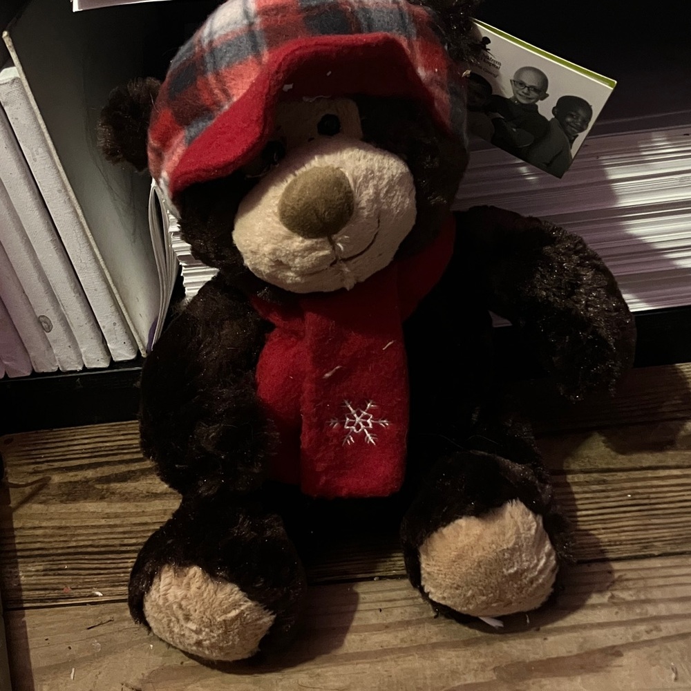 Plaid Hat Teddy Bear with Red Scarf